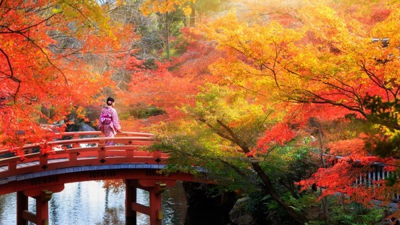 Hal Yang Wajib Dilakukan Saat Musim Gugur Di Jepang